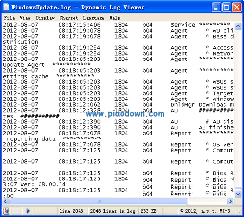 ־鿴(Dynamic Log Viewer)