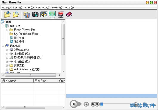 Flash Player Pro