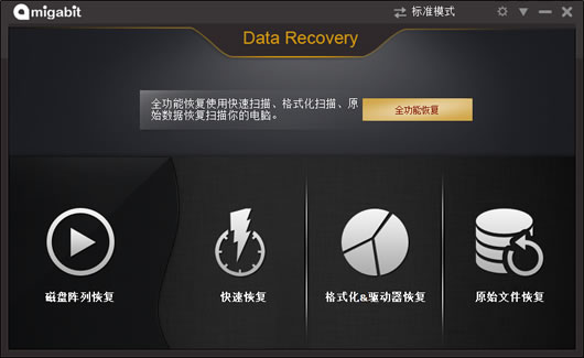 sdʽݻָ(Amigabit Data Recovery Enterprise)