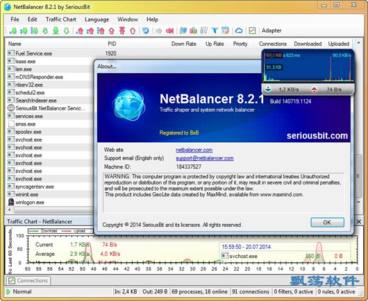 (NetBalancer)