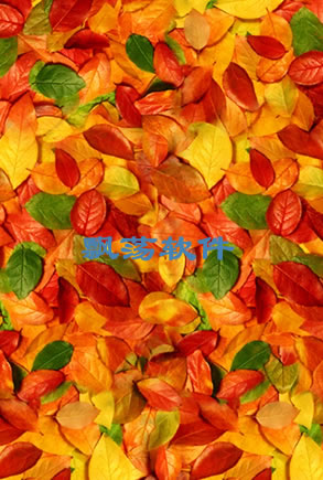 ׿ֻ＾Ҷ3Dֽ̬ Autumn leaves 3D 