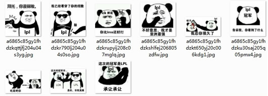 洲际赛熊猫qq表情包lol洲际赛熊猫表情包高清无水印版